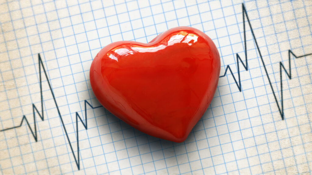Illustration of a healthy human heart beating rhythmically, representing natural cancer defense mechanism