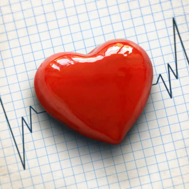 Why Cancer Rarely Spreads to the Heart: New Discovery - Image 2
