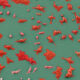 New Hormone Treatment Boosts Prostate Cancer Surgery Results - Image 5