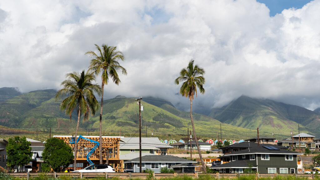 Maui Fire Study Becomes Model for Rural Health Care