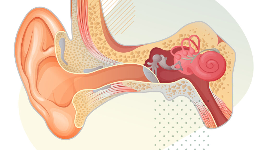 Medical researcher in laboratory working on gene therapy treatment for hearing loss