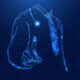 Cancer Drug Discovery Launches $50M Diabetes Startup - Image 4