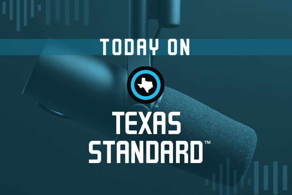 Paleontologist examining large fossilized bones inside limestone cave in Central Texas