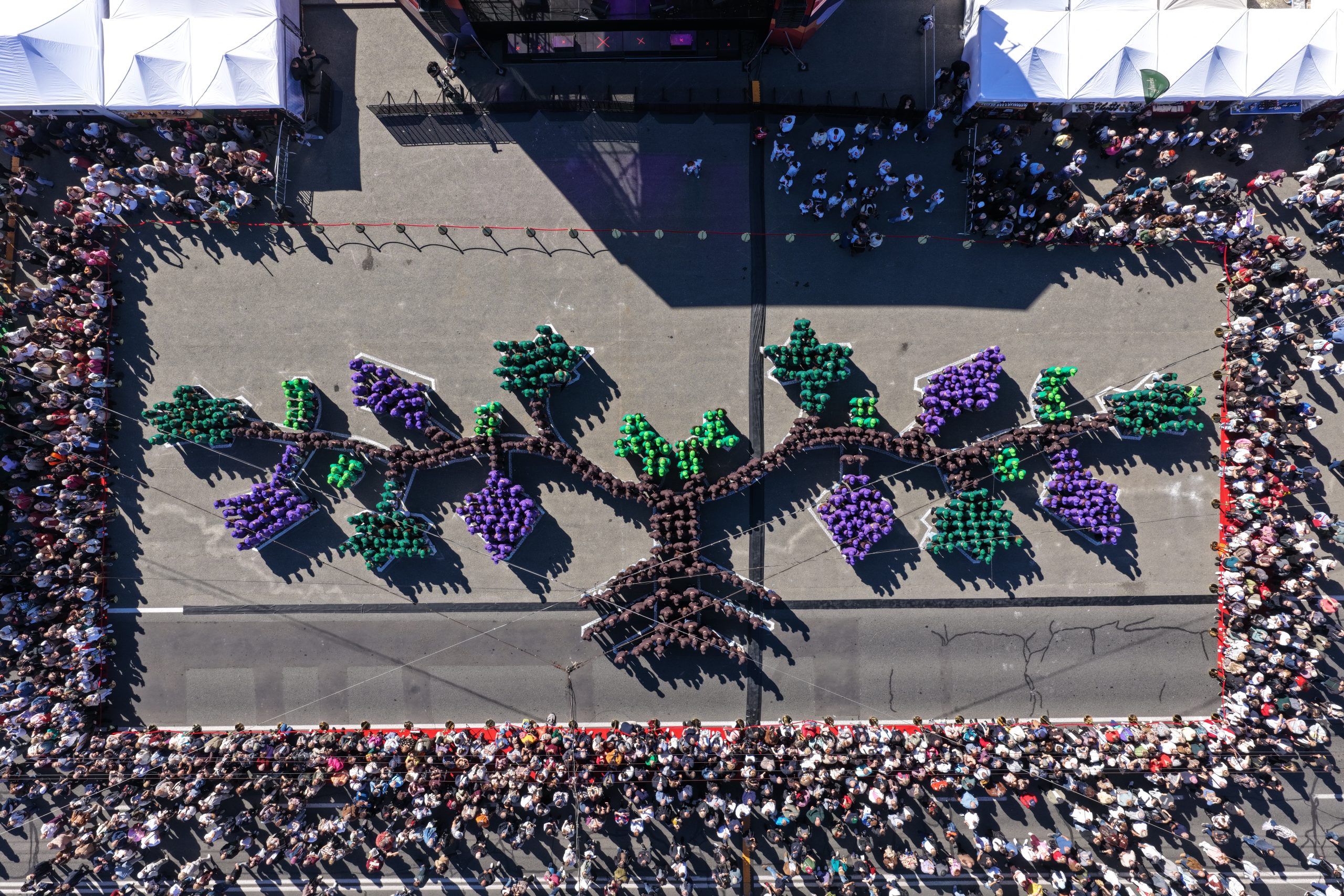 493 People Form World's Largest Human Grapevine in Moldova