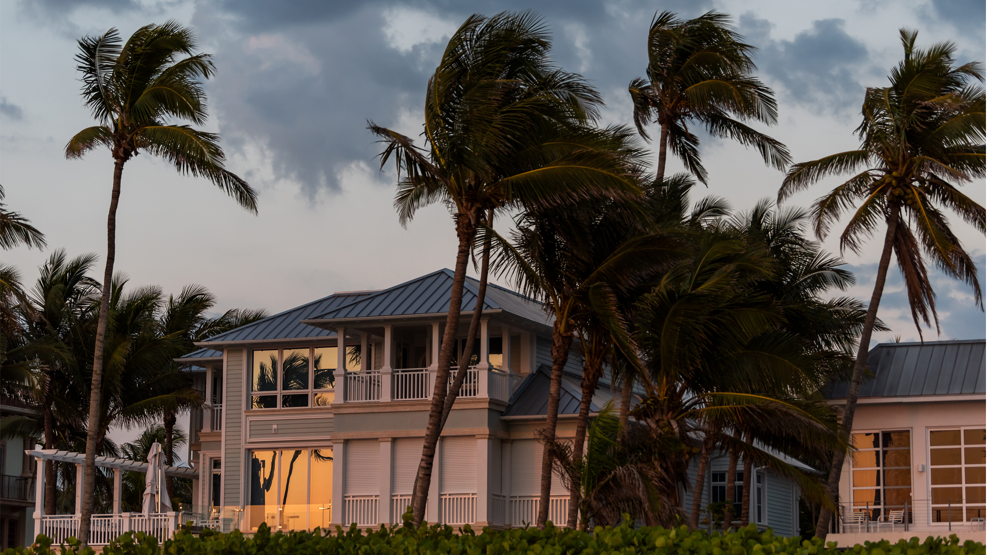 Florida Trees Cut Hurricane Wind Pressure on Homes by 50%