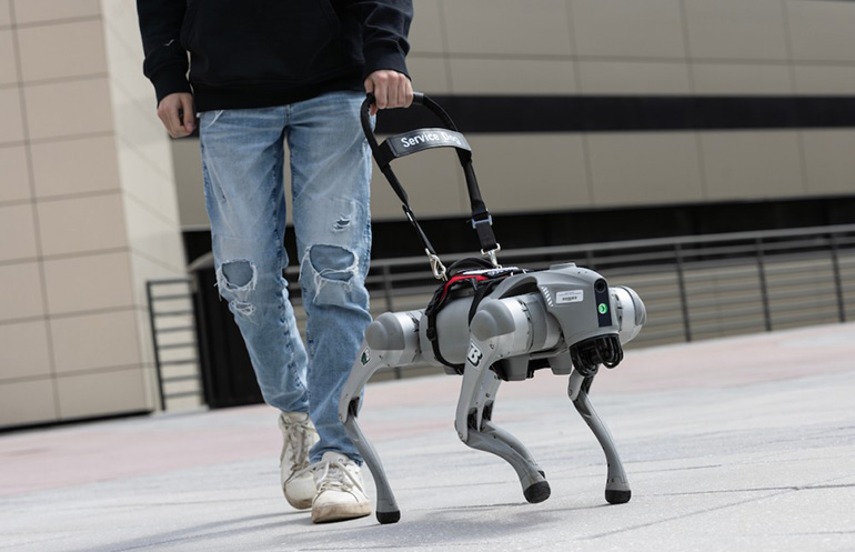Robotic Guide Dogs Now Talk to Visually Impaired Users