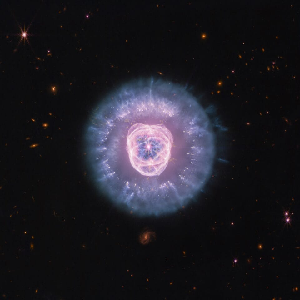 Webb Telescope Captures a Lion's Face Glowing in Space - Image 3