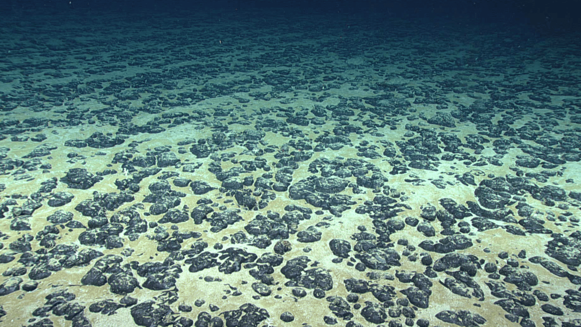 Deep-Sea Robots Gently Collect Minerals Without Harm