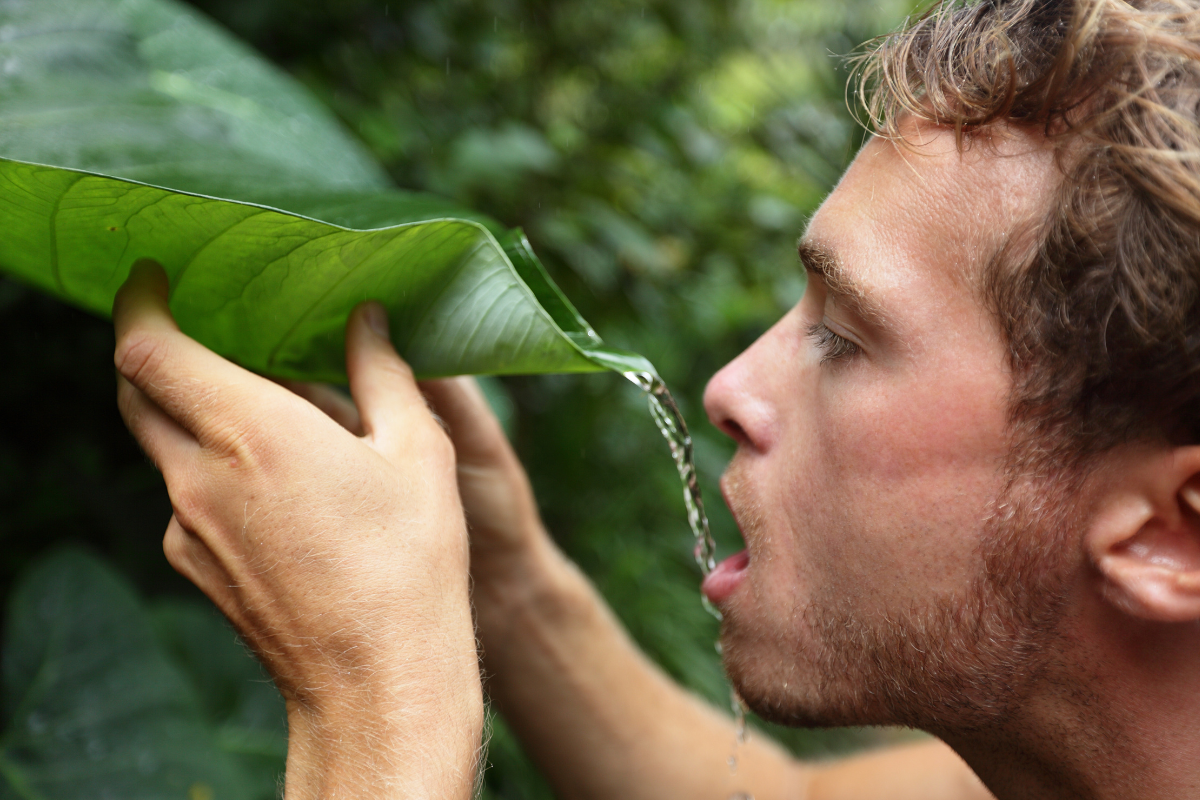 22-Year-Old Buys 7.5 Acres of Colombian Jungle Instead