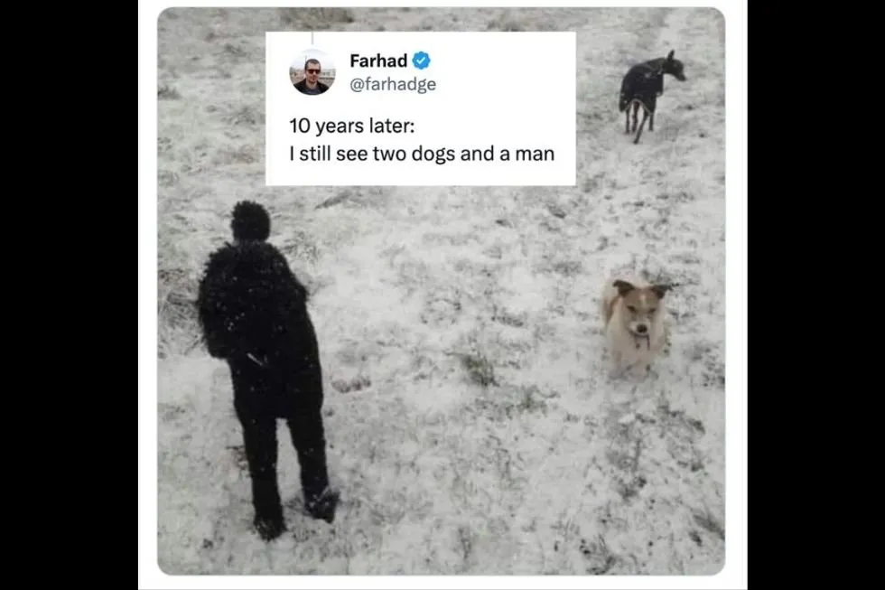 Viral Photo Hides Third Dog in Plain Sight