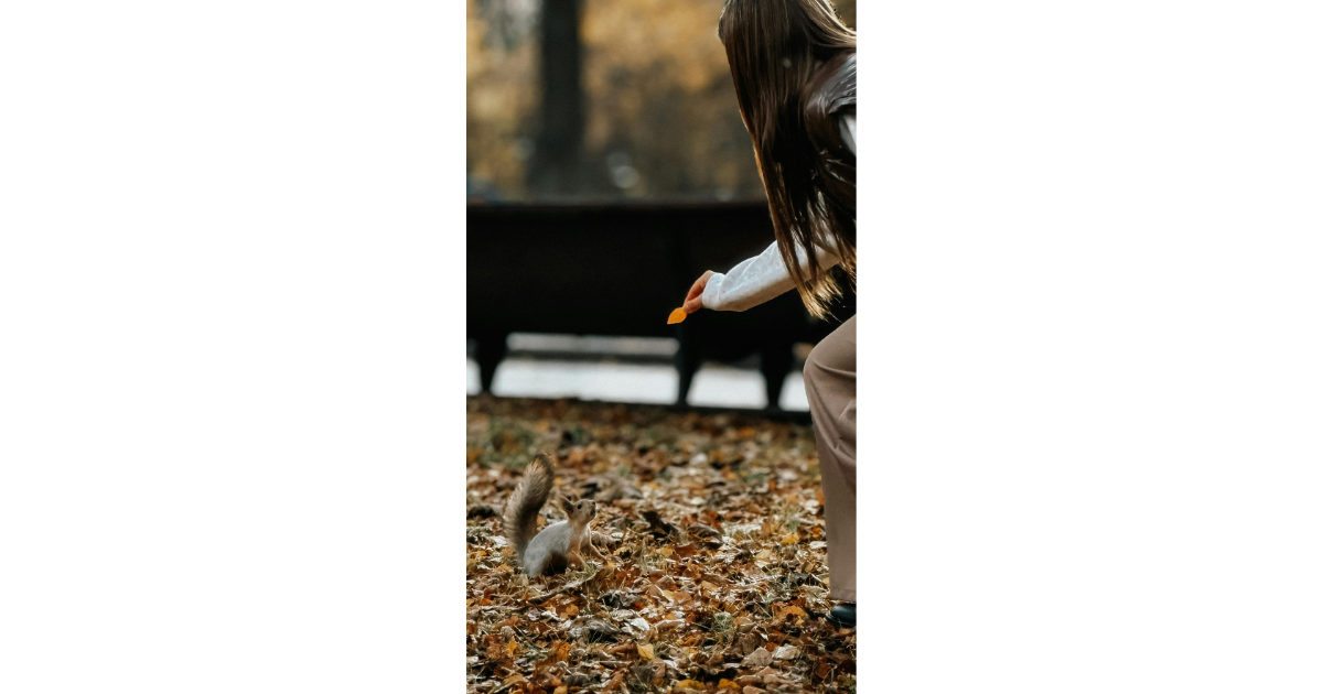 Brown squirrel on front porch railing carrying red cookie in its mouth