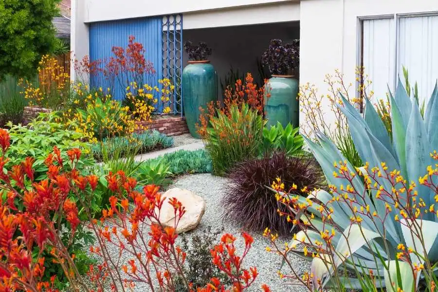 Mom and Daughter Turn Backyard Into Native Plant Paradise