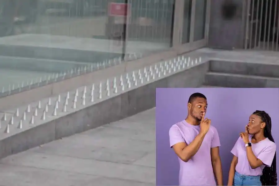 Artists Turn Anti-Homeless Spikes Into Powerful Statement