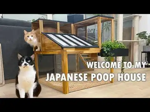 Japan Couple Builds Beautiful Cat Litter Box That Works