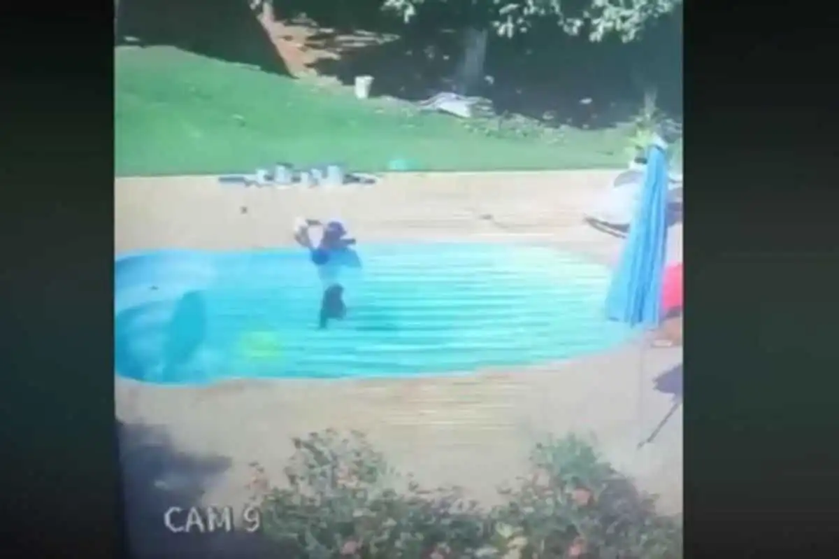 3-Year-Old Arthur Pulls Drowning Friend From Pool