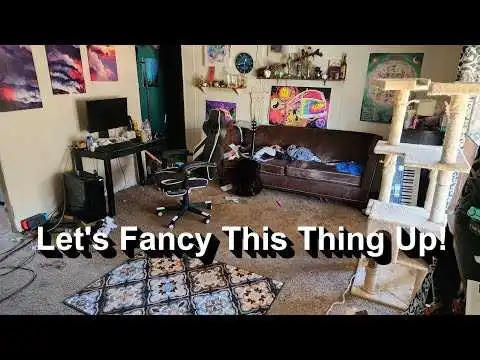 Cleaner Shows How to Transform a Home for Under $300