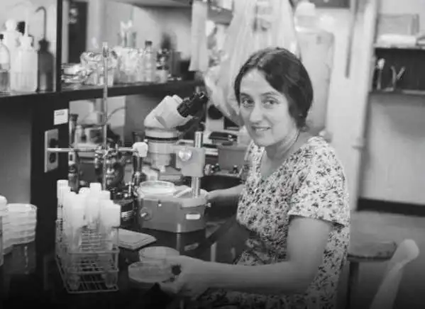 Biologist Rejected 15 Times Rewrites Origin of Life