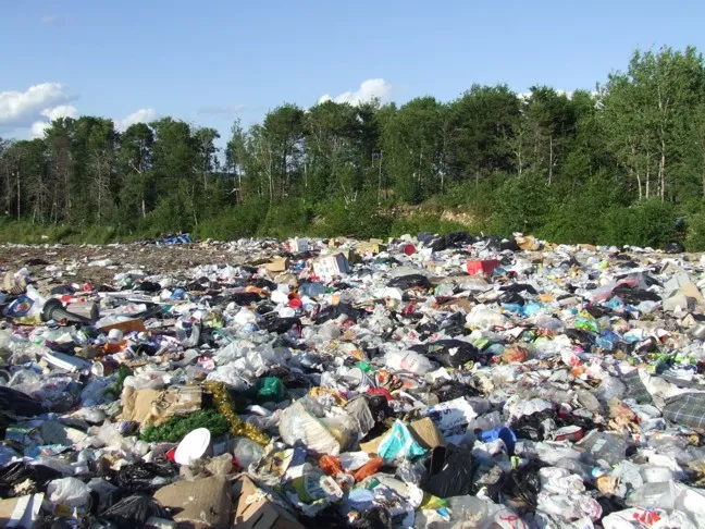 Engineer's 11M-View Video Reveals Landfill Science Genius - Image 4