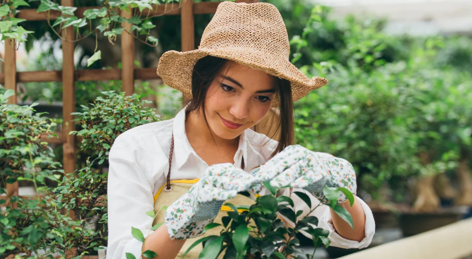 Renter Takes Garden With Her After Landlord Eviction