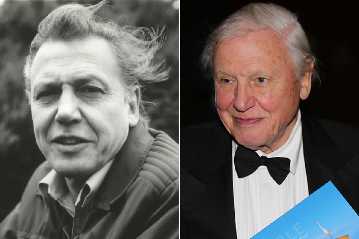 David Attenborough Still Working Strong at Age 100