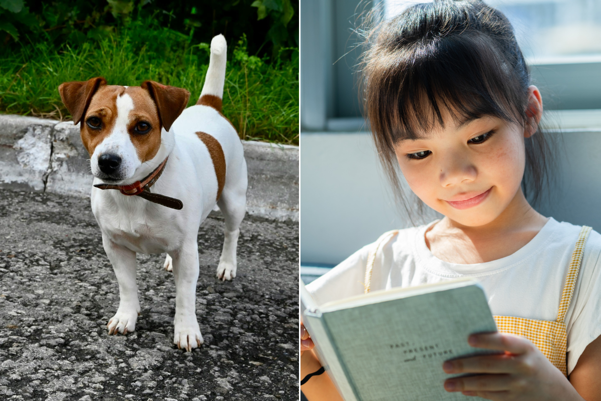 Wishbone Documentary Celebrates Dog Who Made Millennials Love Books