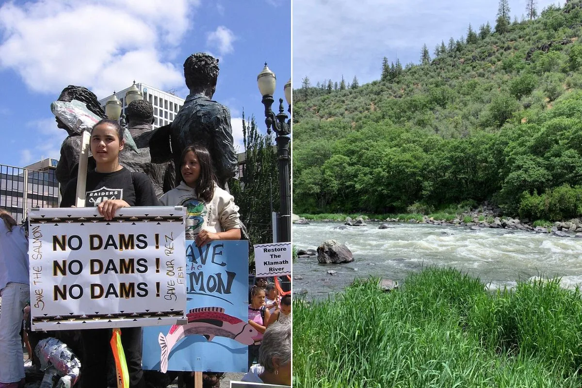 4 Dams Removed, 70,000 Salmon Return to Klamath River