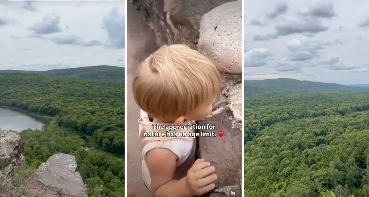 Toddler's First Mountain View Goes Viral With 5M Views