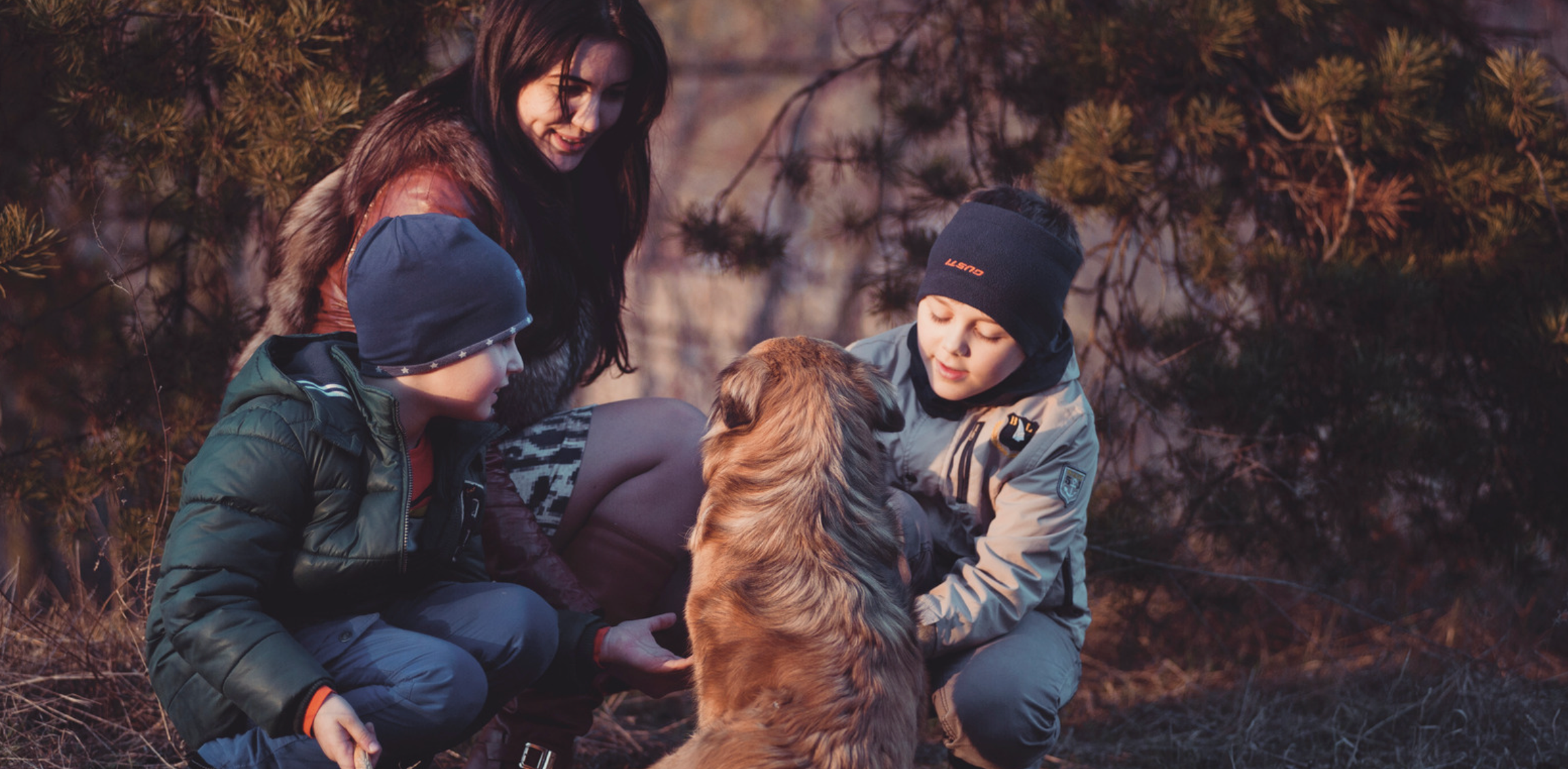 Family Dog Diagnosed With Lyme Years Before 4 Sick Siblings