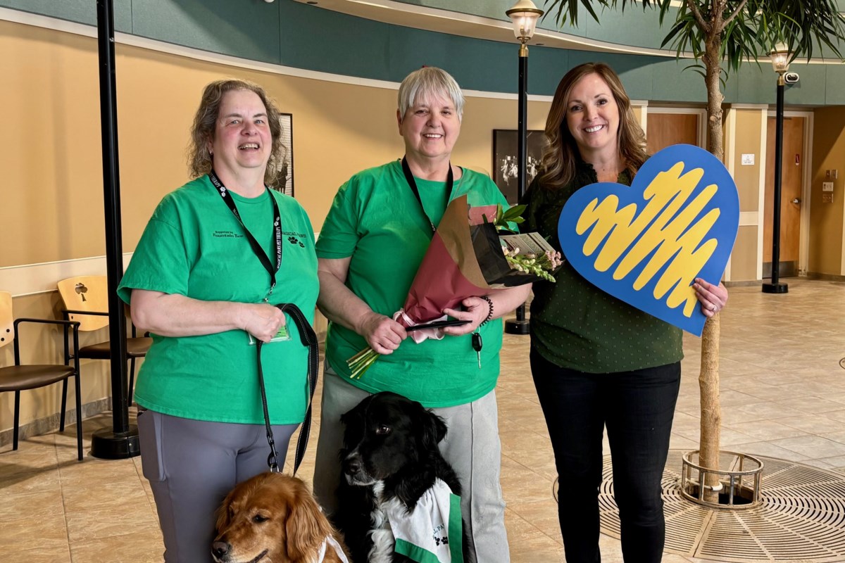Woman Turns Pain Into Purpose With 50+ Therapy Dogs