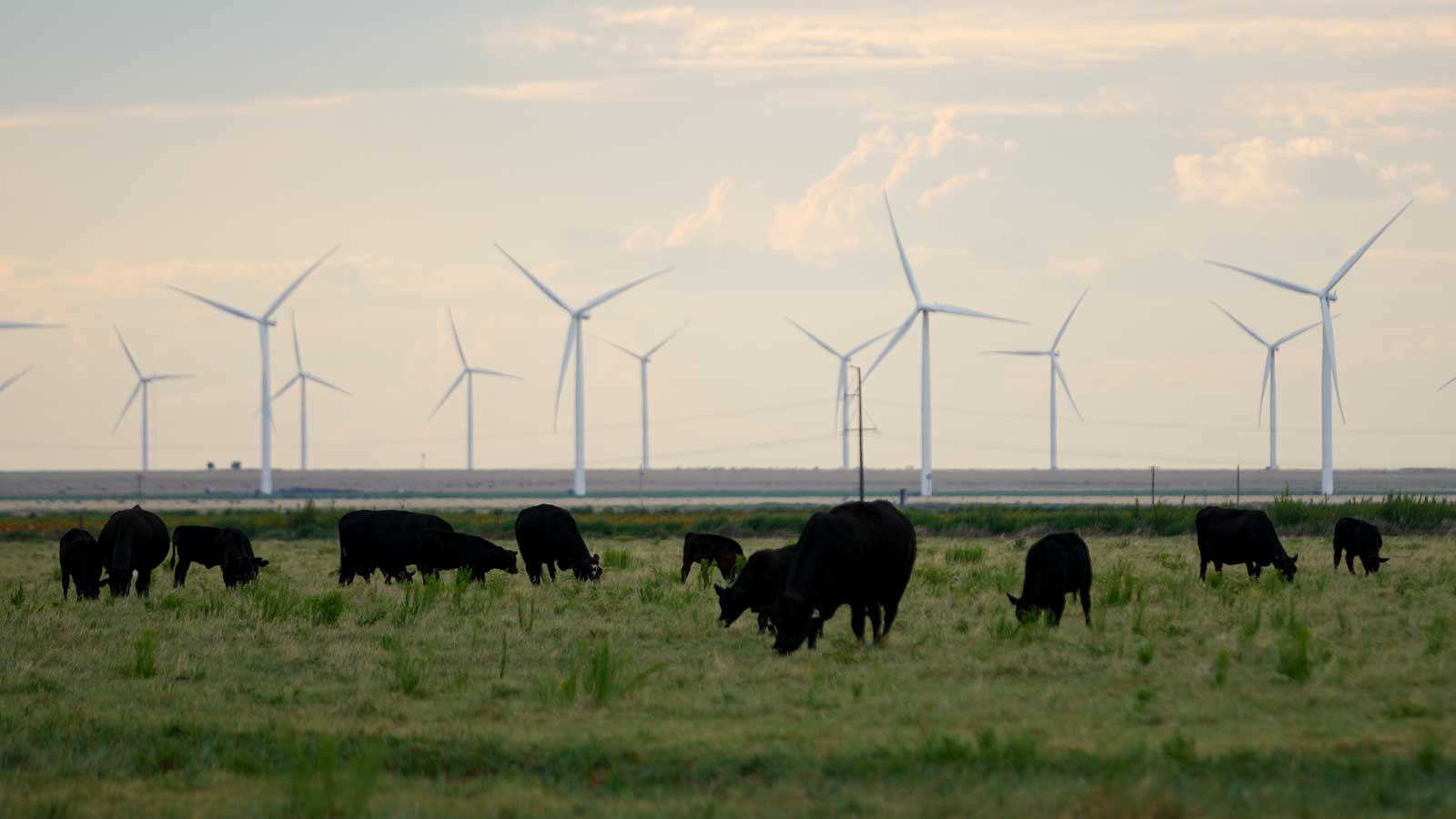 Large lithium battery storage system capable of powering thousands of homes during outages