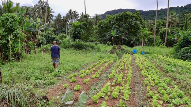 Fiji Revives Ancient Weather Wisdom to Predict Cyclones