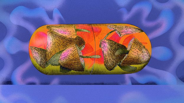 Magic Mushrooms Help Smokers Quit in New Study