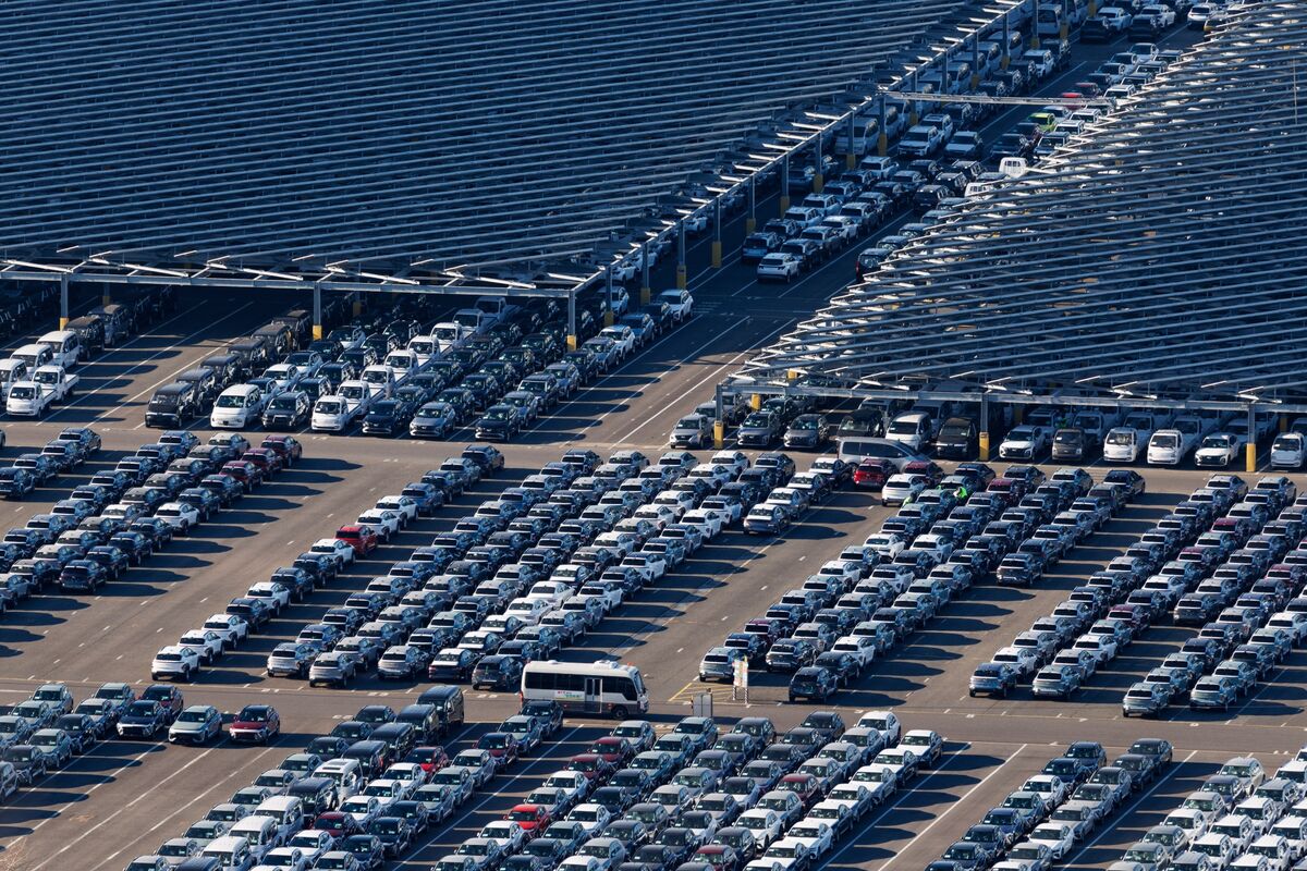 Rows of solar panels at large renewable energy farm under bright sunlight