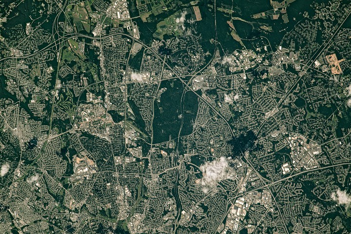 Green Space Thrives Along Maryland's Capital Beltway