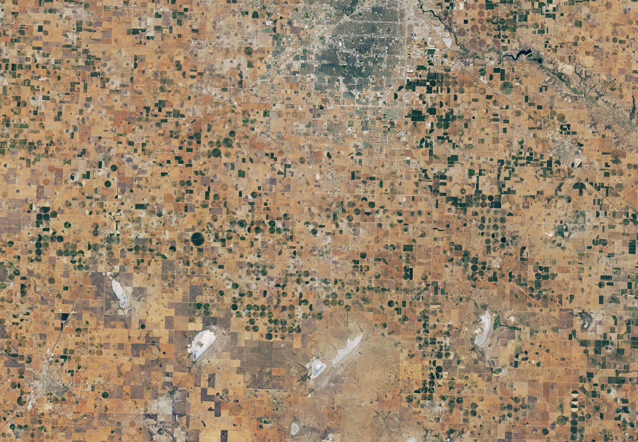 Texas Cotton Farmers Find Hope After Devastating 2026 Drought