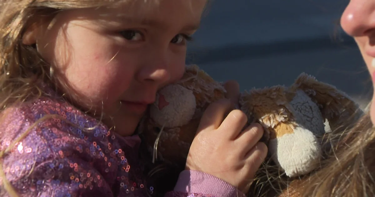 Lost Stuffed Cat Found After Boston Marathon Search