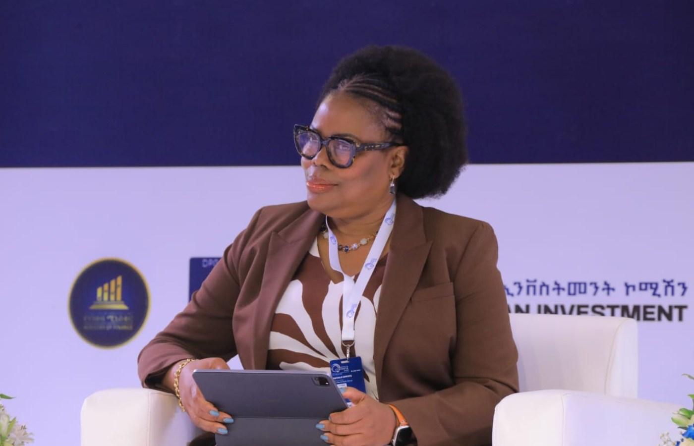 Ethiopia Draws $6.9B in Development Investment Over 5 Years