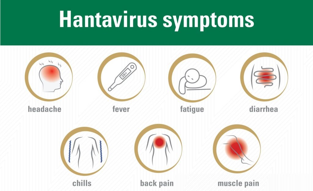 South African Scientists ID Rare Virus in 24 Hours
