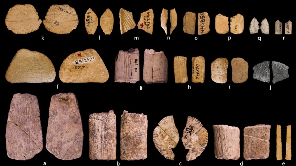 Ancient two-sided Native American dice made from bone and decorated peach stones displayed together
