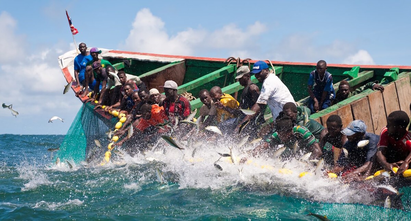 South Africa Tests Sustainable Fishmeal Production - Image 2