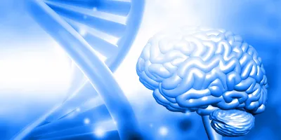 One-Dose Gene Therapy Cuts Alzheimer's Tau Protein 75% - Image 4