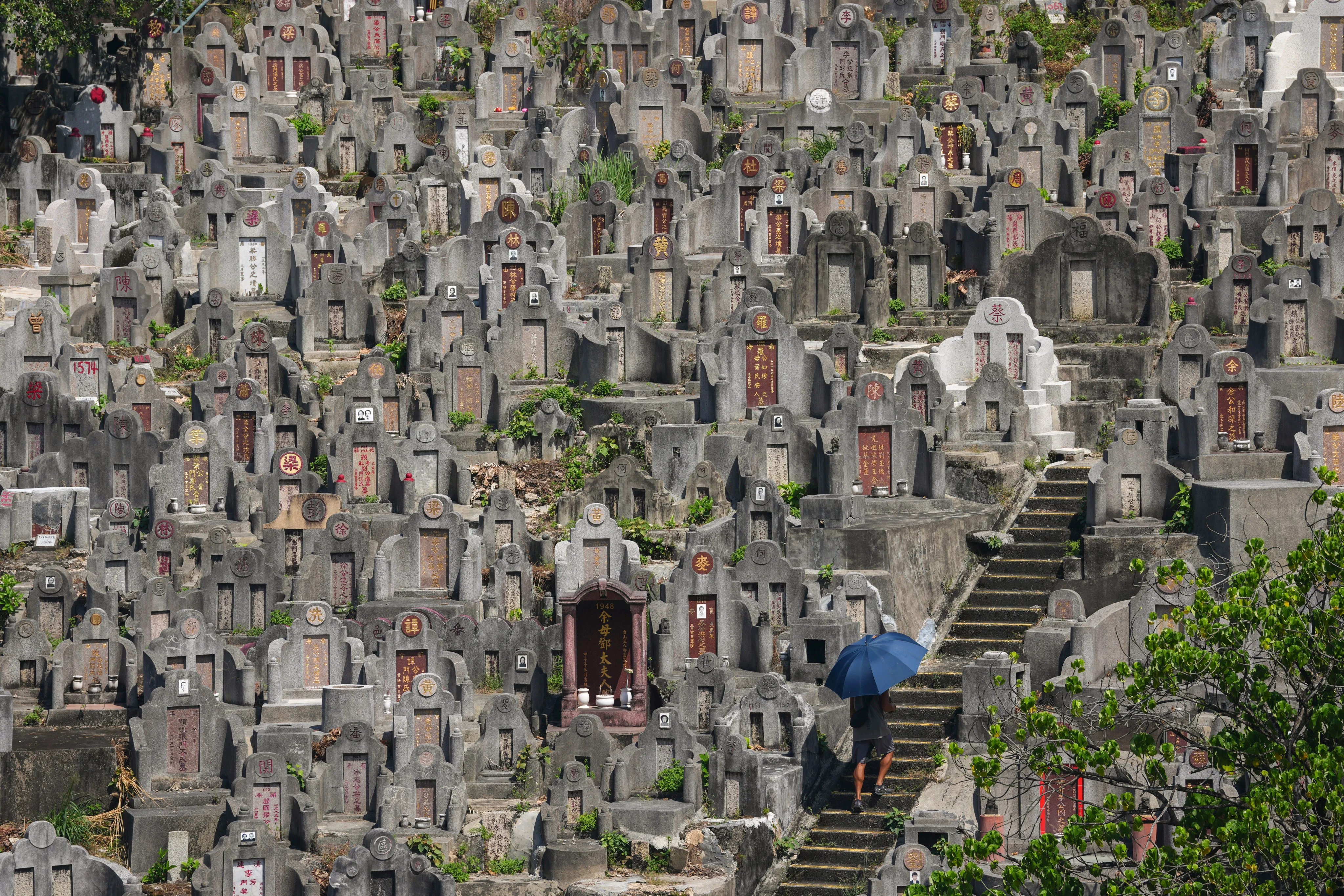 Hong Kong Families Keep Chung Yeung Festival Traditions Alive - Image 2