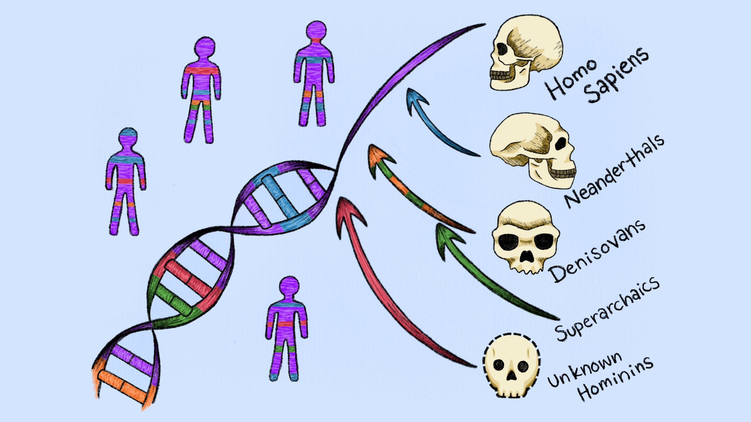 Scientists Find 2 'Ghost' Human Lineages in Our DNA