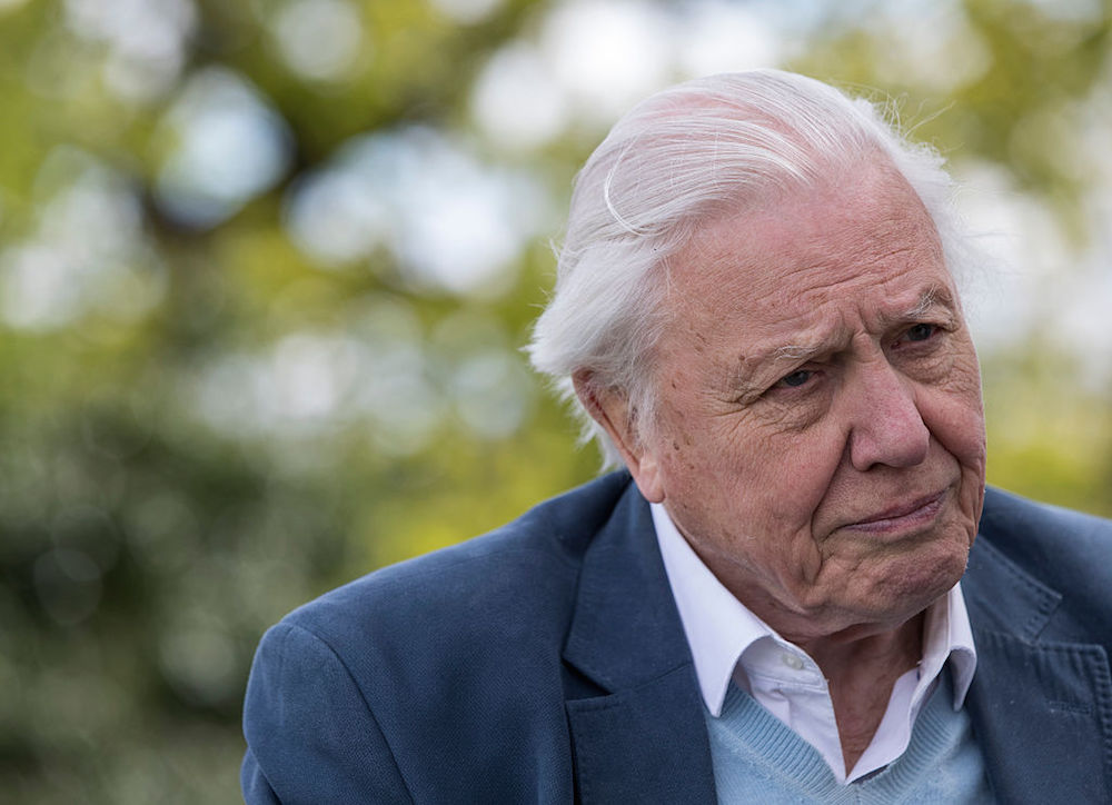 David Attenborough Turns 100, Still Making Ocean Films - Image 5