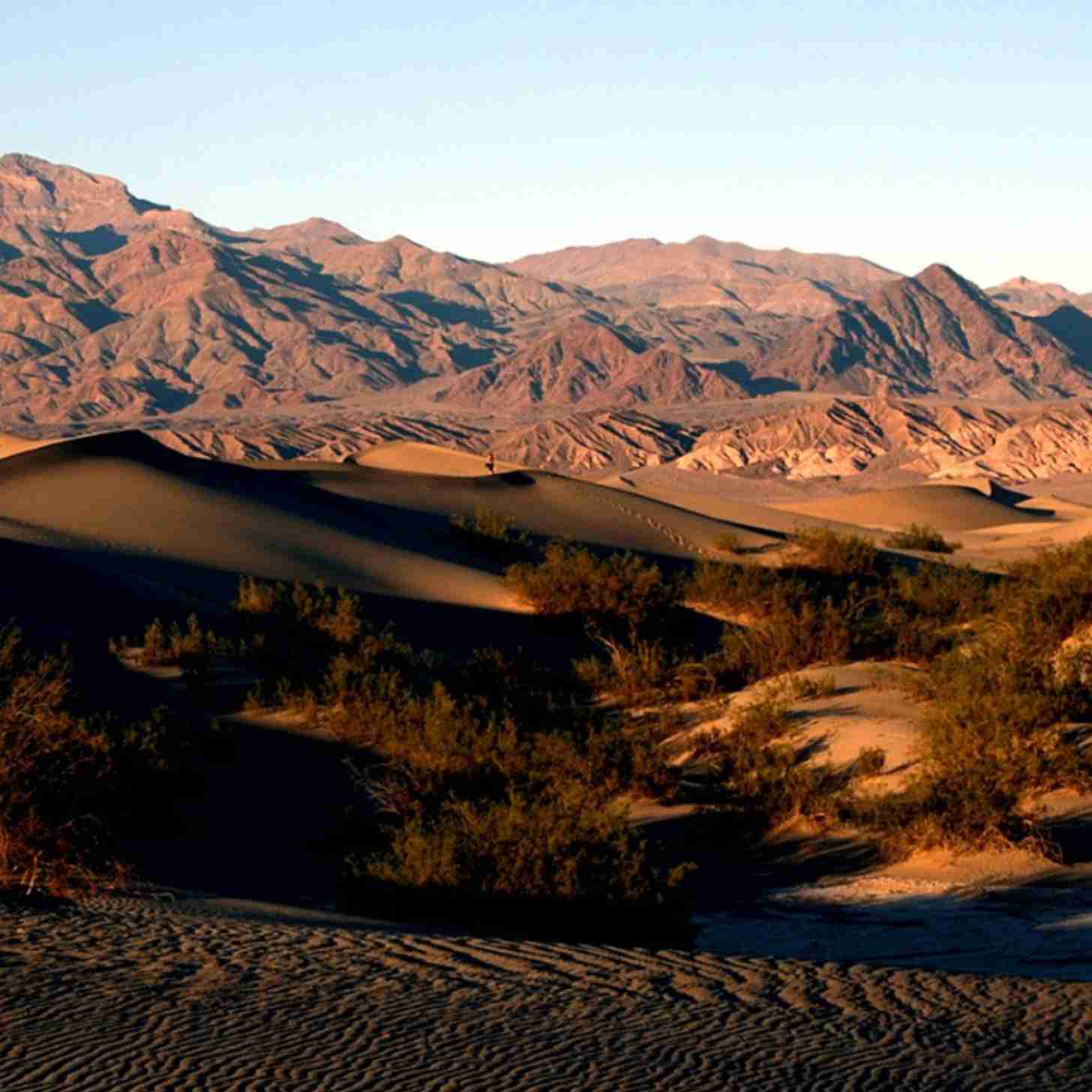 Nobel Winner's Device Makes Water From Desert Air - Image 3