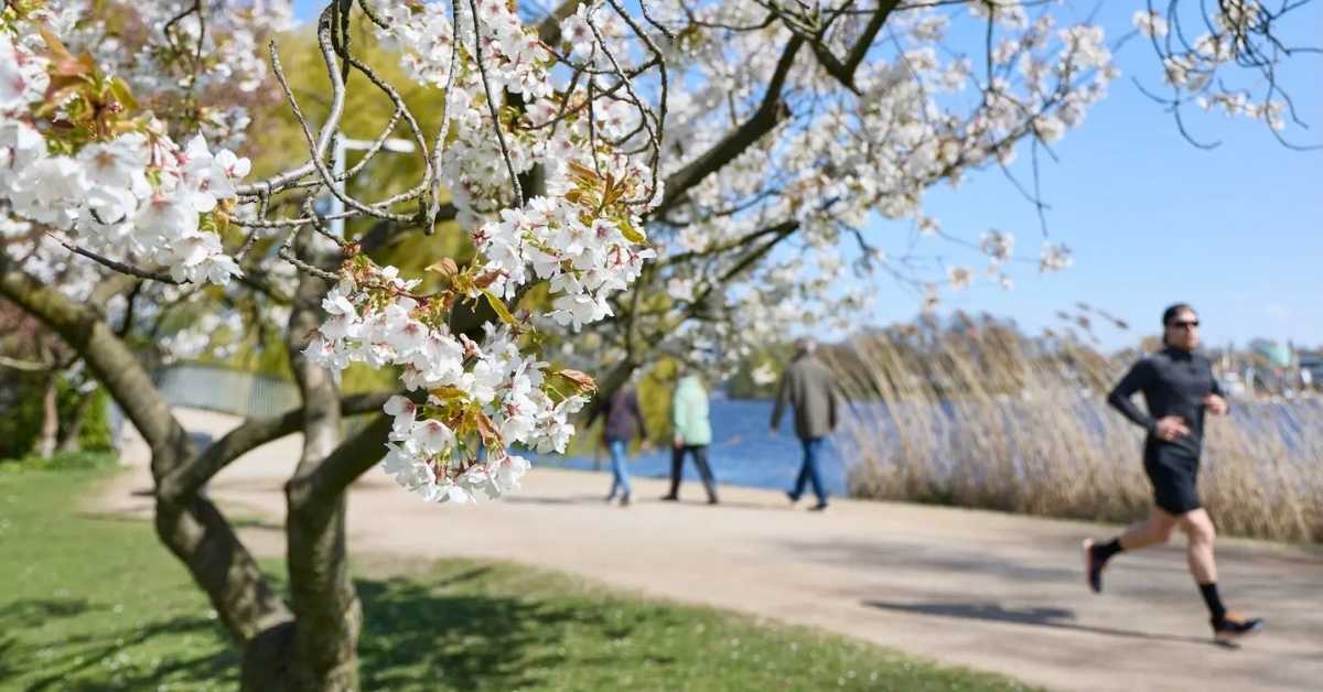 Parks Return $3 for Every $1 Cities Invest