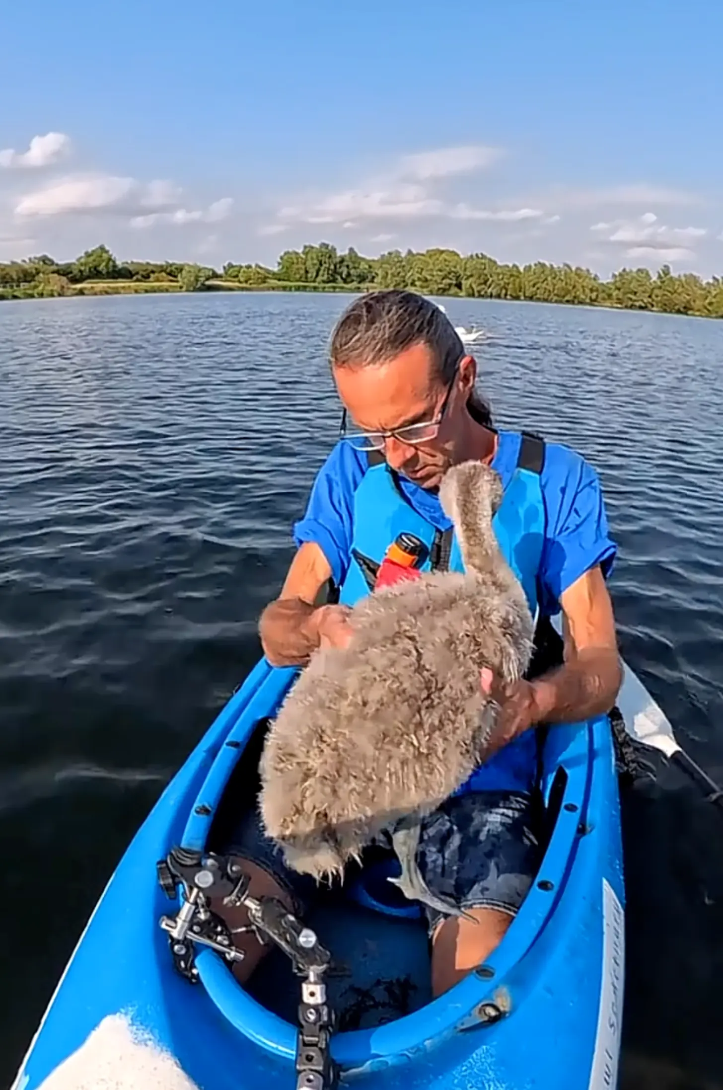 Wildlife Expert Frees Baby Swan From Hook as Parents Circle - Image 3