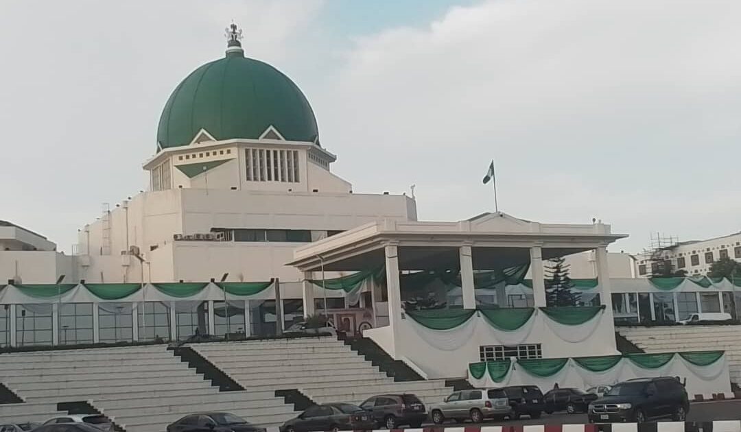 Nigerian Women Rally for Reserved Legislative Seats by 2027