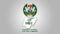 Nigeria Approves New Power Grid to End Blackouts - Image 5