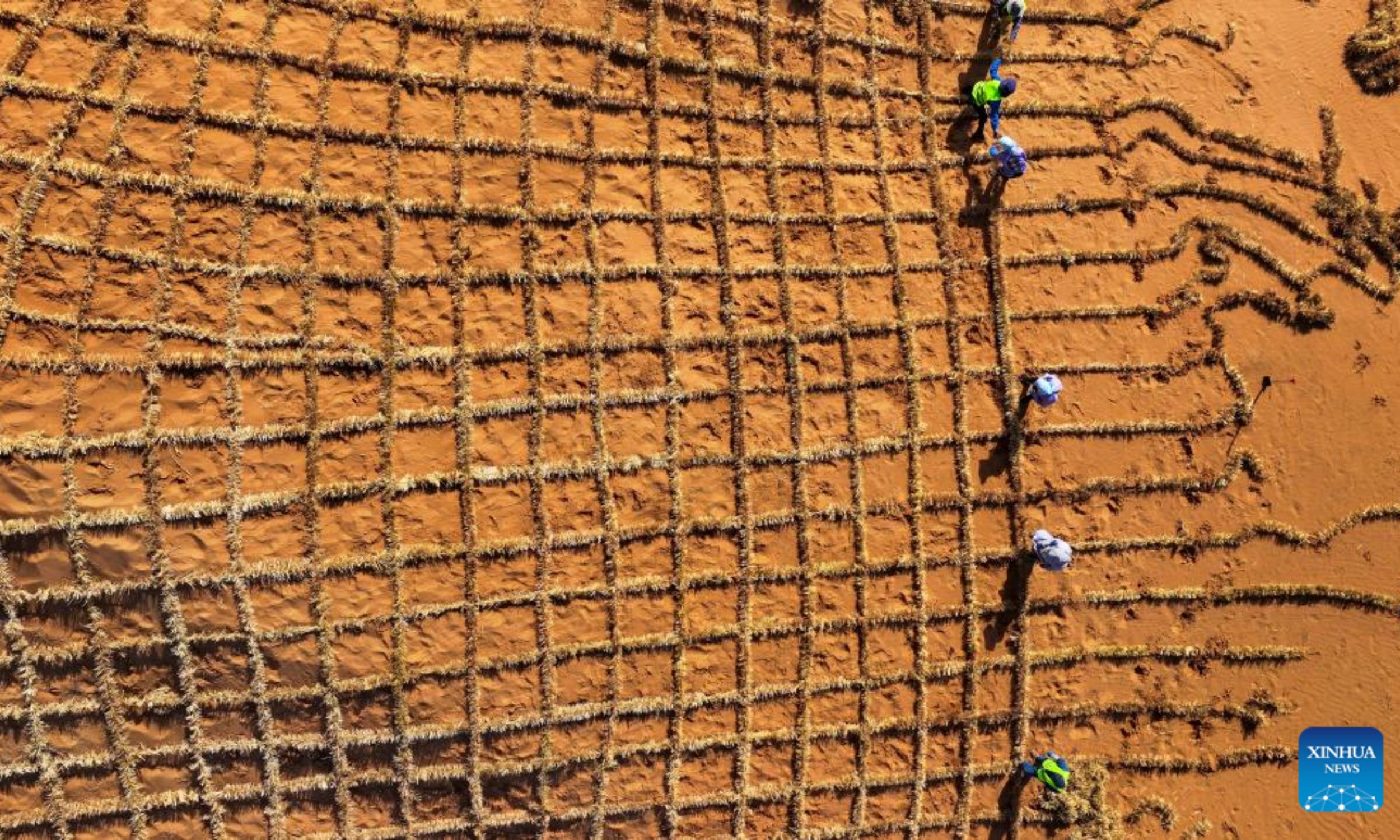 China Turns Desert Sand into Fertile Soil in 10 Months